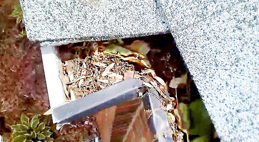 Ferret How to – Inspect Gutters Without a Ladder